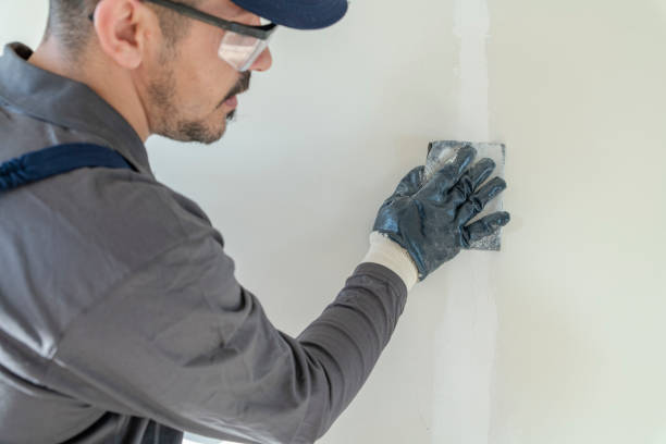 Best Mold Damage Restoration  in Winnie, TX